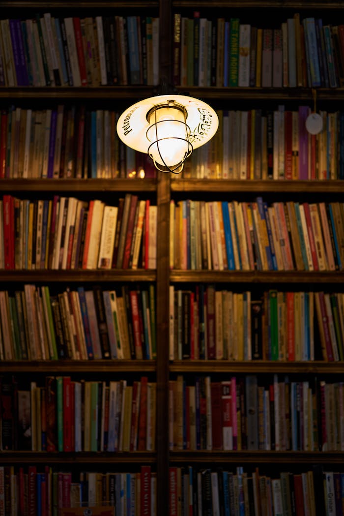 gallery-01